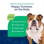 NaturVet Digestive Enzymes with Probiotics for Dogs