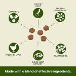 Gentle Digest Soft Chews for Dogs and Cats