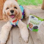 Gentle Digest Soft Chews for Dogs and Cats
