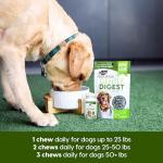 Gentle Digest Soft Chews for Dogs and Cats