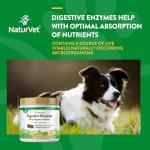 NaturVet Digestive Enzymes Soft Chews for Pets