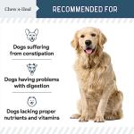 Dog Probiotics with Digestive Enzymes - 120 Chews