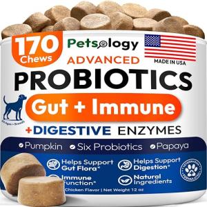Dog Probiotics Chews for Gut Health Relief