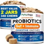 Probiotics Chews for Dog Digestive Health - 2 Pack