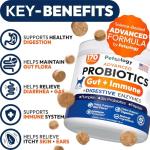 Probiotics Chews for Dog Digestive Health - 2 Pack