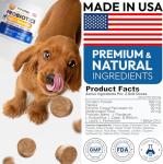 Probiotics Chews for Dog Digestive Health - 2 Pack