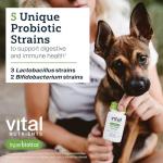 Pro Pets Probiotics for Dogs | Tasty Gut Health