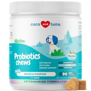 Dog Probiotics for Digestive Health and Wellness