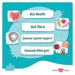 Dog Probiotics for Digestive Health and Wellness