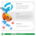 Dog Probiotics for Digestive Health and Wellness