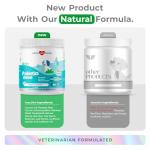 Dog Probiotics for Digestive Health and Wellness