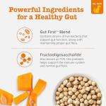 Zesty Paws Pumpkin Probiotics for Dog Digestive Health