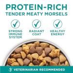 Purina One Digestive Health Dry Dog Food 16.5 lbs