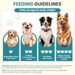 Dog Probiotics Chews for Gut Health and Immunity