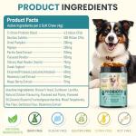 Dog Probiotics Chews for Gut Health and Immunity