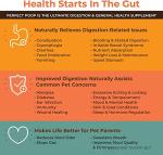 Dog Digestive Health Supplement with Fiber and Probiotics