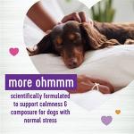 Wellness Cheese Flavored Calming Chews for Dogs