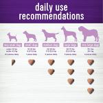 Wellness Cheese Flavored Calming Chews for Dogs