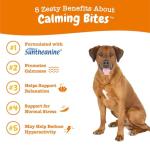 Zesty Paws Calming Chews for Dogs - Peanut Butter 90 Count