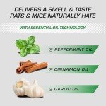 Tomcat Rodent Repellent Oil, Indoor/Outdoor, 1 gal