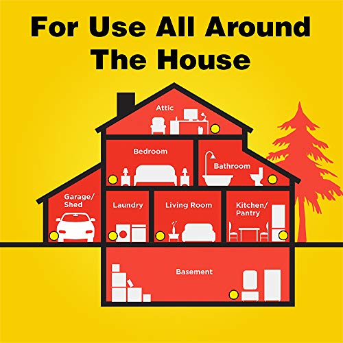 3-Pack d-Con Disposable Mouse Bait Stations, 0.5 Oz