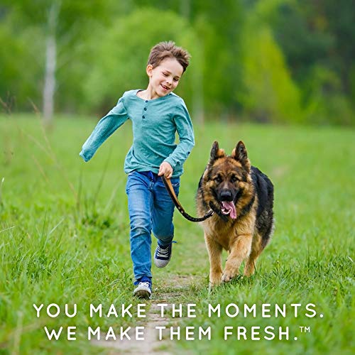 TropiClean Natural Flea & Tick Yard Spray 32oz