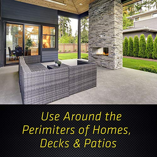 Black Flag Flea and Tick Yard Treatment, 32 Ounces