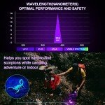 Vansky UV Flashlight: Detect Pet Urine & More