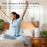 LEVOIT 3-in-1 Air Purifier for Better Sleep