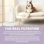 GermGuardian Pet Air Purifier with HEPA Filter