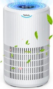 Large Room HEPA Air Purifier for Homes