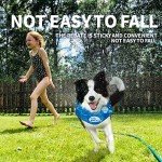 Chill Out Ice Bandana for Dogs - Medium