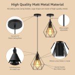 Black Industrial Cage Pendant Light for Ceiling