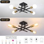 Black Sputnik Chandelier Ceiling Light for Any Room