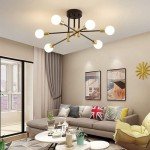 Modern Black Gold Sputnik Chandelier with 6 Lights