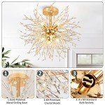 Modern Gold Crystal Chandeliers for Any Room