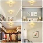Modern Gold Crystal Chandeliers for Any Room