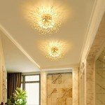 Modern Gold Crystal Flush Mount Ceiling Light