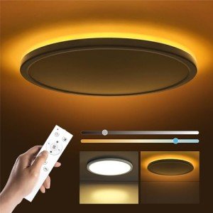 Dimmable LED Ceiling Light with Remote Control