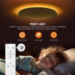 Dimmable LED Ceiling Light with Remote Control