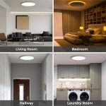 Dimmable LED Ceiling Light with Remote Control