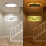 Dimmable LED Ceiling Light with Remote Control
