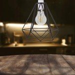 Industrial Black Wire Basket Pendant Ceiling Light