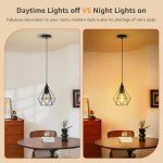 Black Industrial Cage Pendant Light for Ceiling