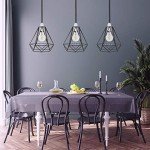 Industrial Black Wire Basket Pendant Ceiling Light