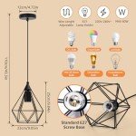 Black Industrial Cage Pendant Light for Ceiling