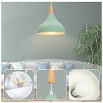 Set of 2 Retro Pendant Ceiling Lights - Green