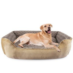 JOEJOY Large Washable Calming Dog Bed - Beige