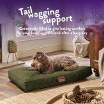 Large Washable Anti-Anxiety Dog Bed in Green