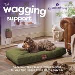 Large Washable Anti-Anxiety Dog Bed in Green